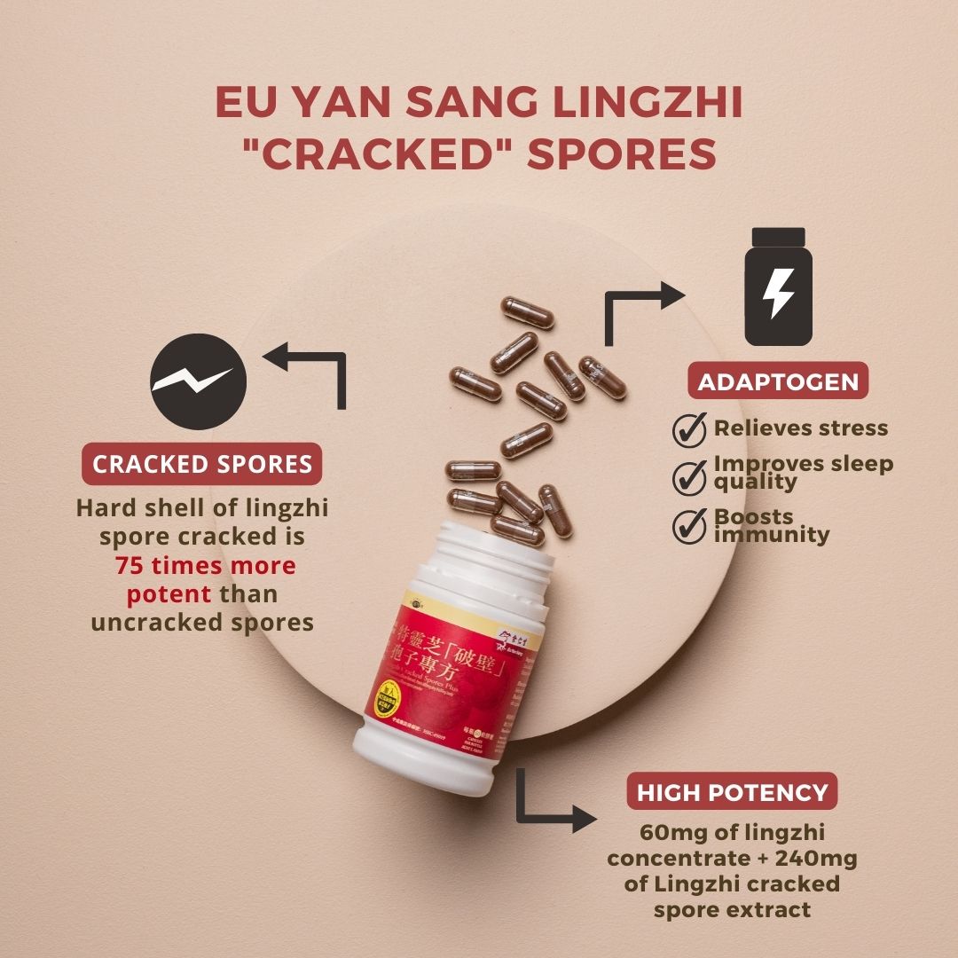 Lingzhi Cracked Spores Powder Capsules Plus