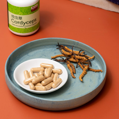 Cordyceps (Hirsutella Sinensis) Capsules, 60 Caps