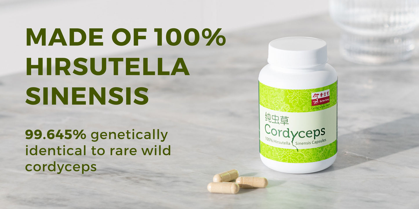 Cordyceps (Hirsutella Sinensis) Capsules, 60 Caps